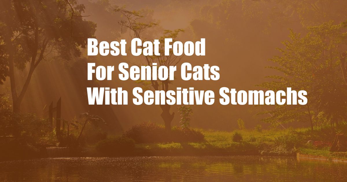 Best Cat Food For Senior Cats With Sensitive Stomachs