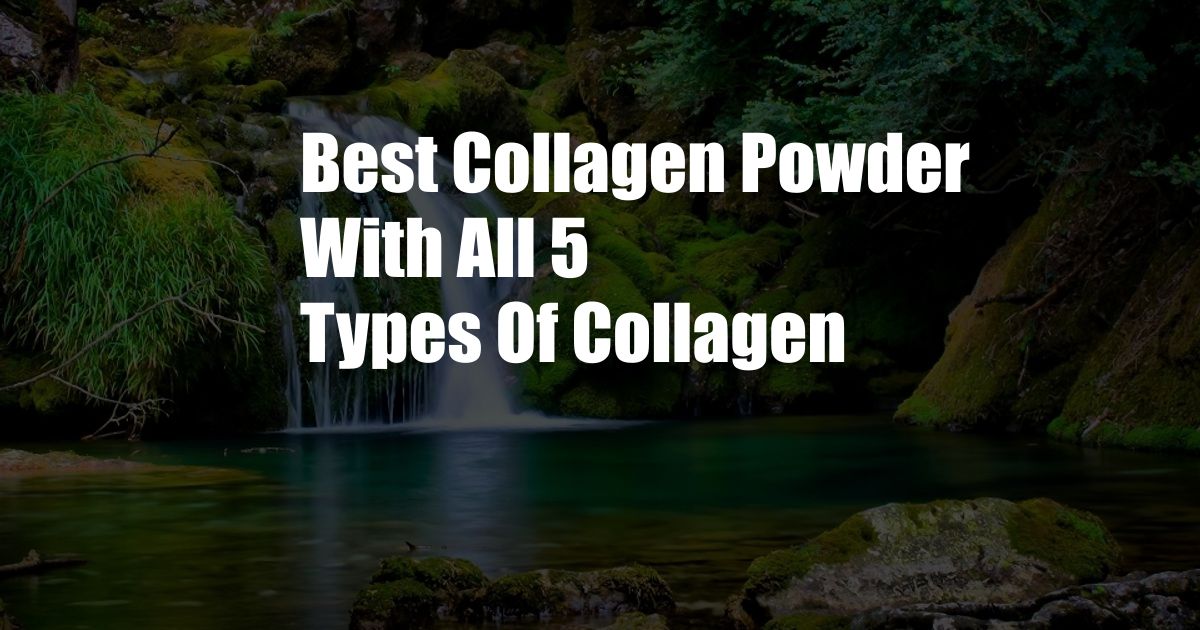 Best Collagen Powder With All 5 Types Of Collagen