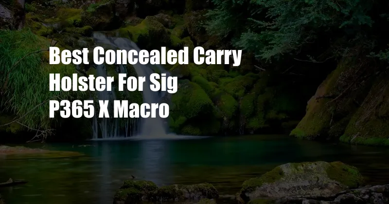 Best Concealed Carry Holster For Sig P365 X Macro