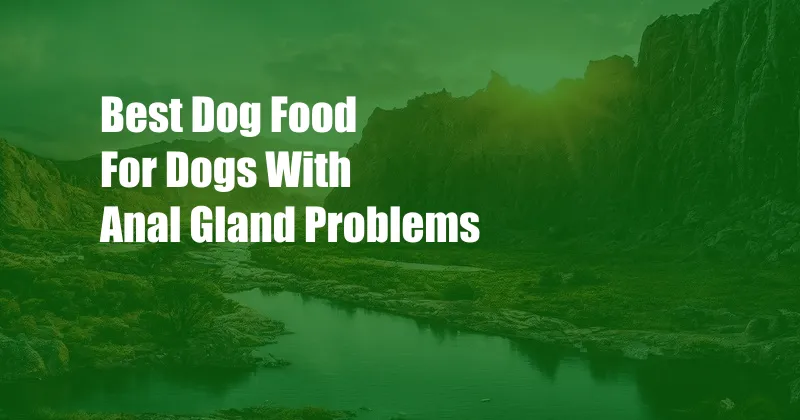 Best Dog Food For Dogs With Anal Gland Problems