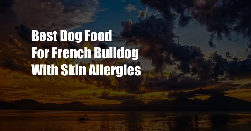 Best Dog Food For French Bulldog With Skin Allergies