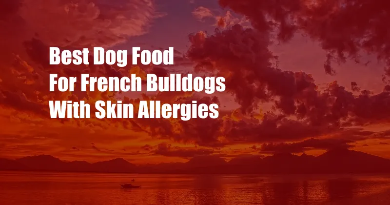 Best Dog Food For French Bulldogs With Skin Allergies