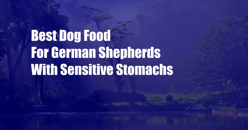 Best Dog Food For German Shepherds With Sensitive Stomachs