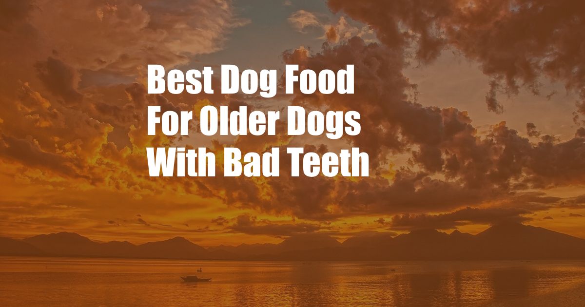 Best Dog Food For Older Dogs With Bad Teeth