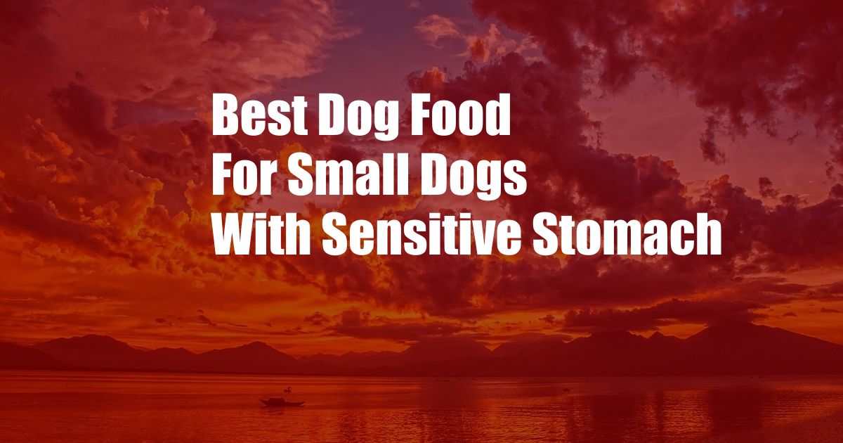 Best Dog Food For Small Dogs With Sensitive Stomach