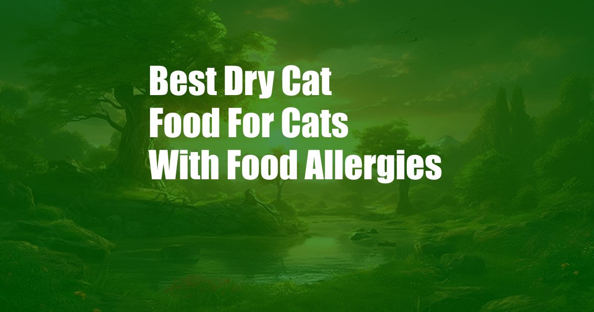 Best Dry Cat Food For Cats With Food Allergies