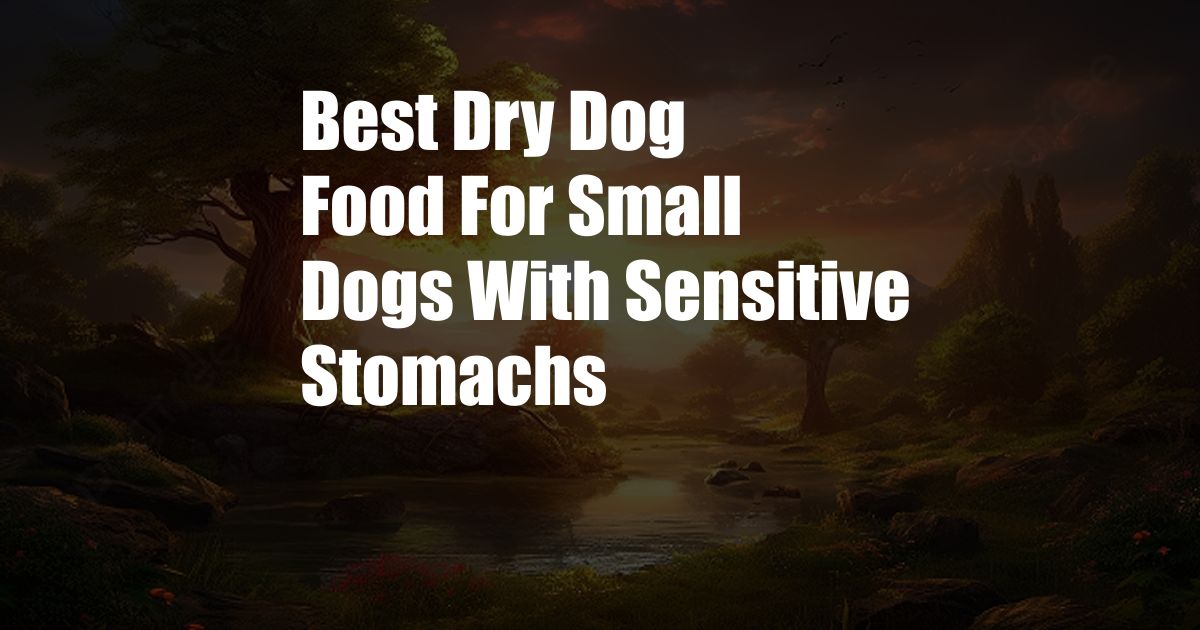 Best Dry Dog Food For Small Dogs With Sensitive Stomachs