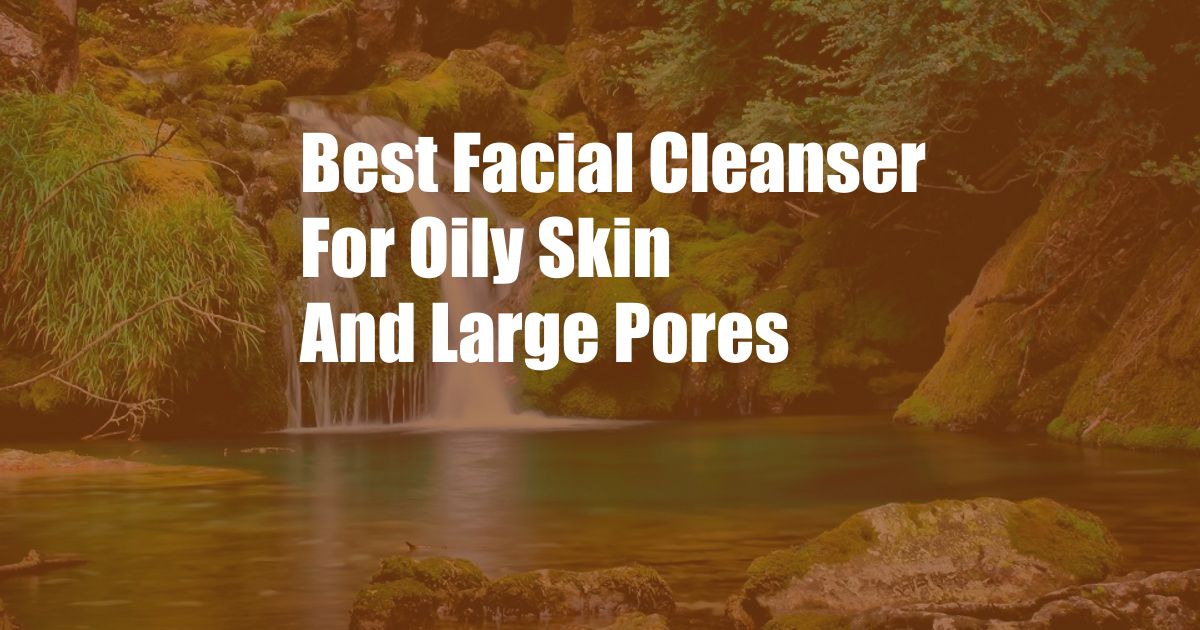 Best Facial Cleanser For Oily Skin And Large Pores