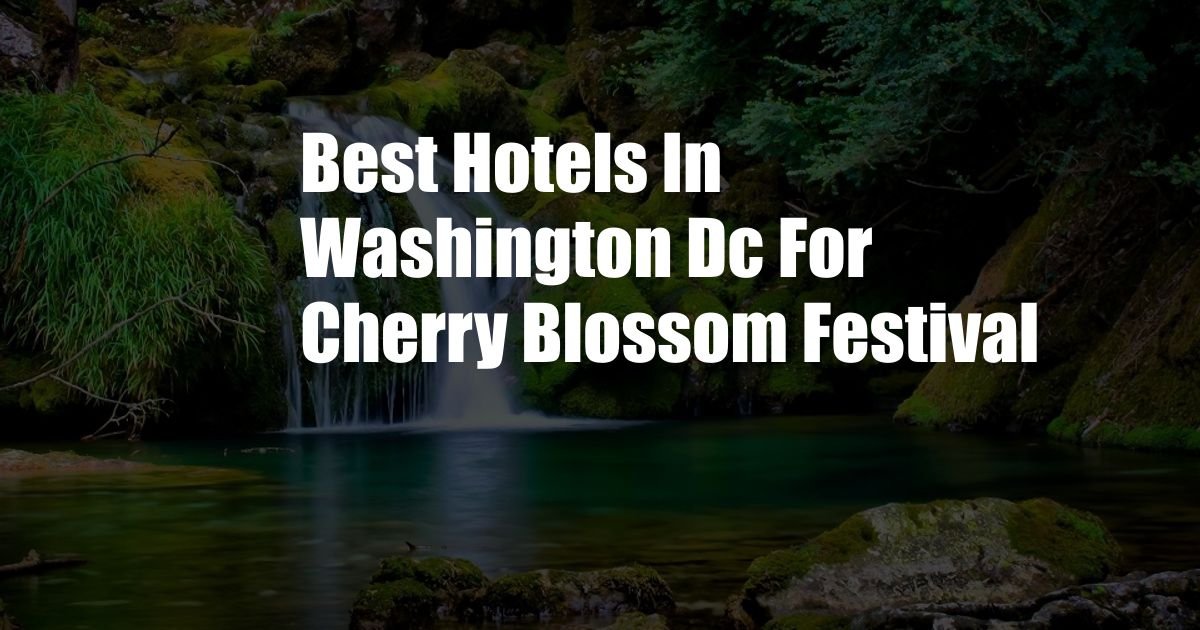 Best Hotels In Washington Dc For Cherry Blossom Festival