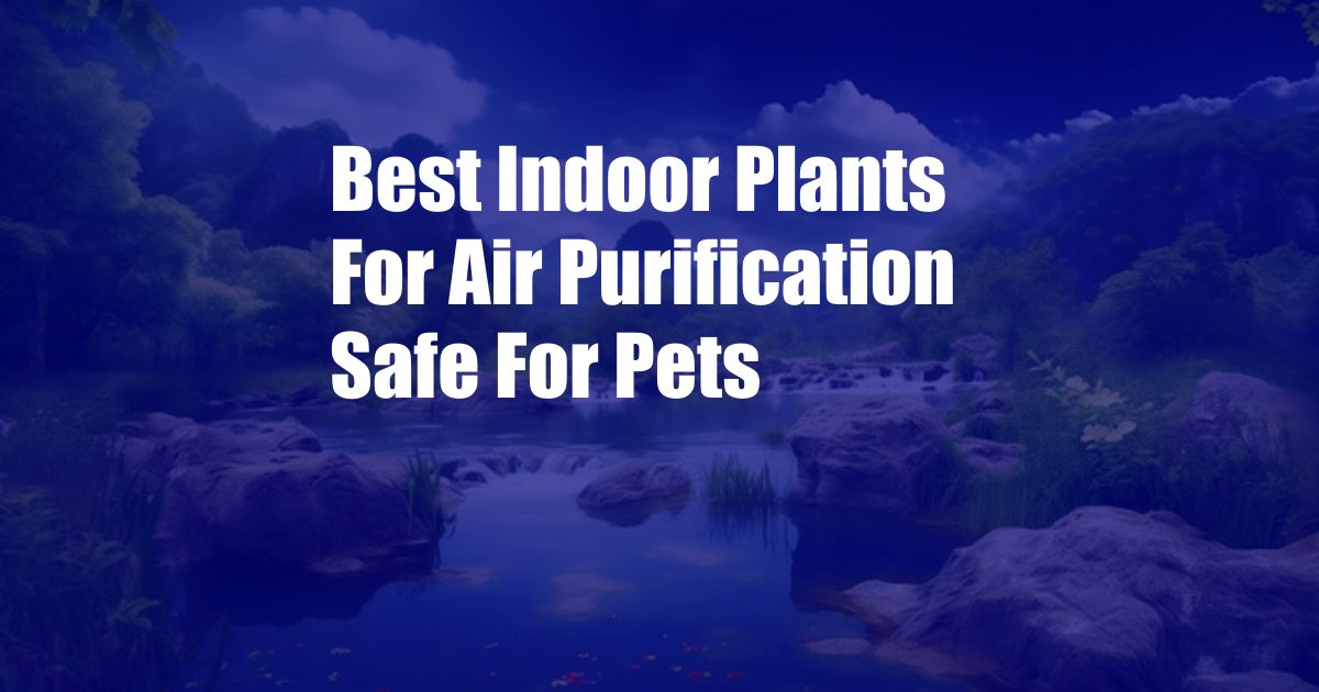 Best Indoor Plants For Air Purification Safe For Pets