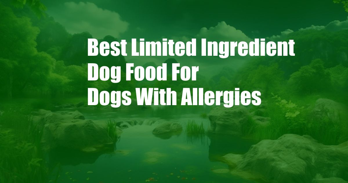 Best Limited Ingredient Dog Food For Dogs With Allergies