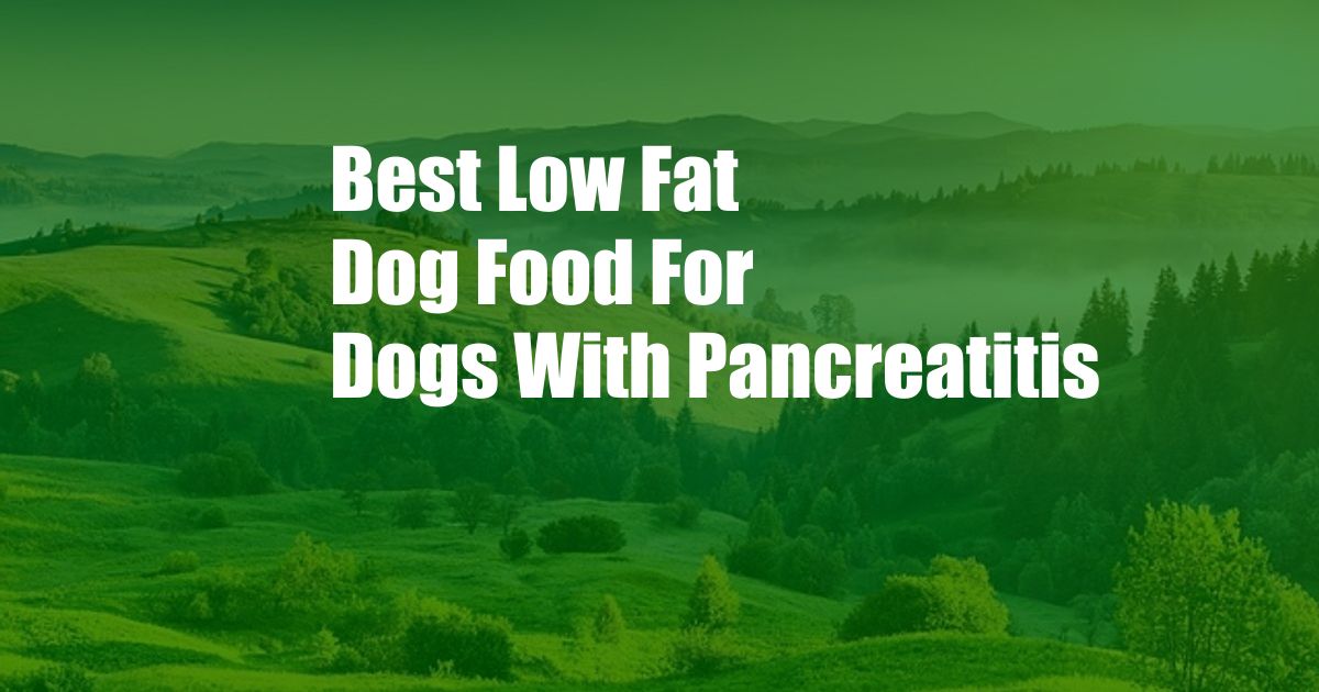 Best Low Fat Dog Food For Dogs With Pancreatitis