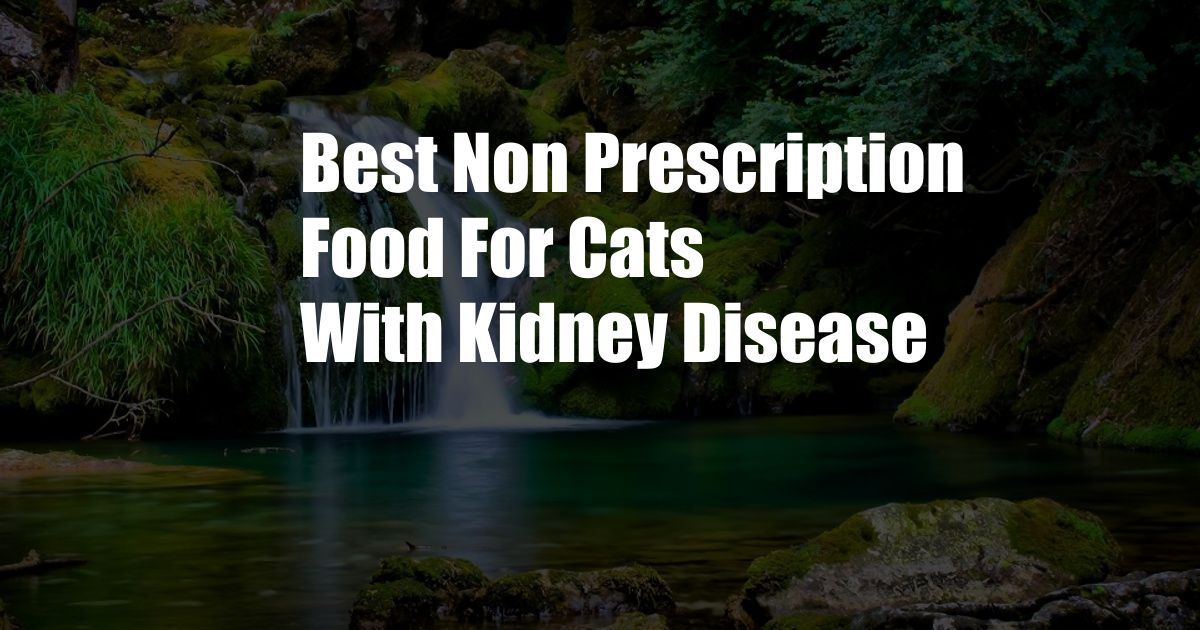 Best Non Prescription Food For Cats With Kidney Disease