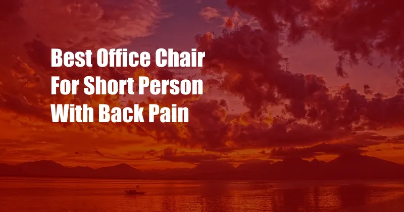 Best Office Chair For Short Person With Back Pain