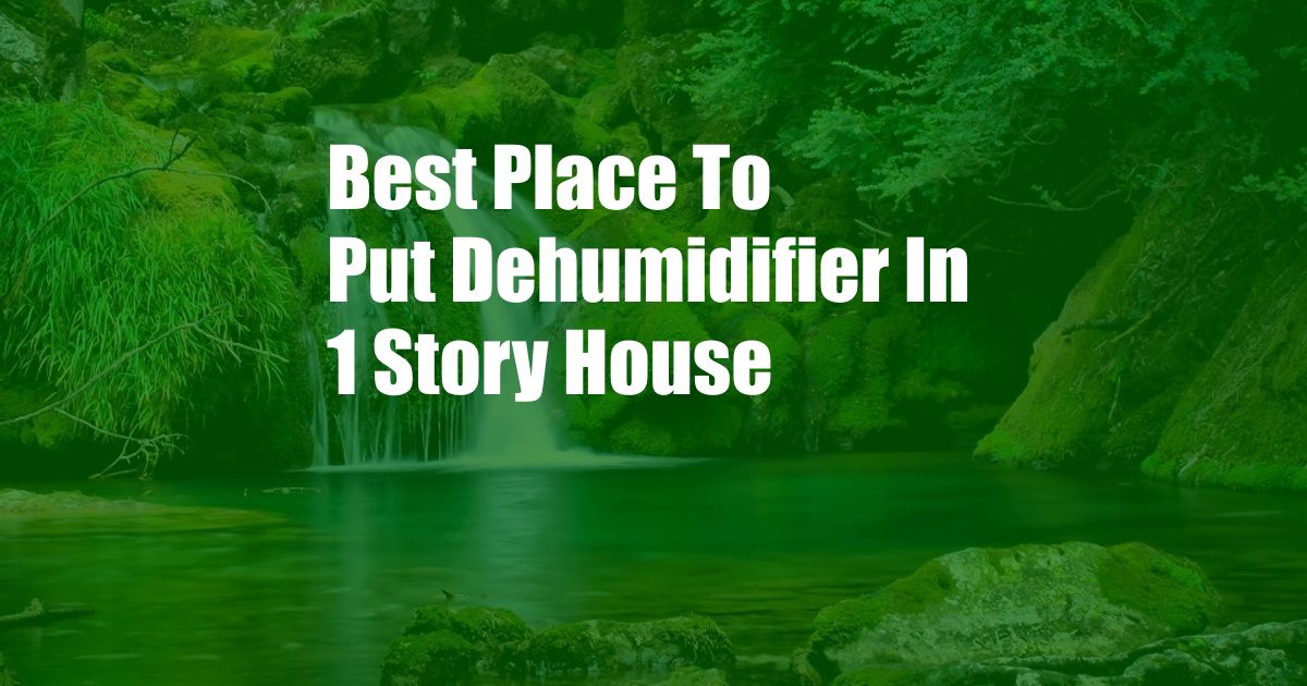 Best Place To Put Dehumidifier In 1 Story House