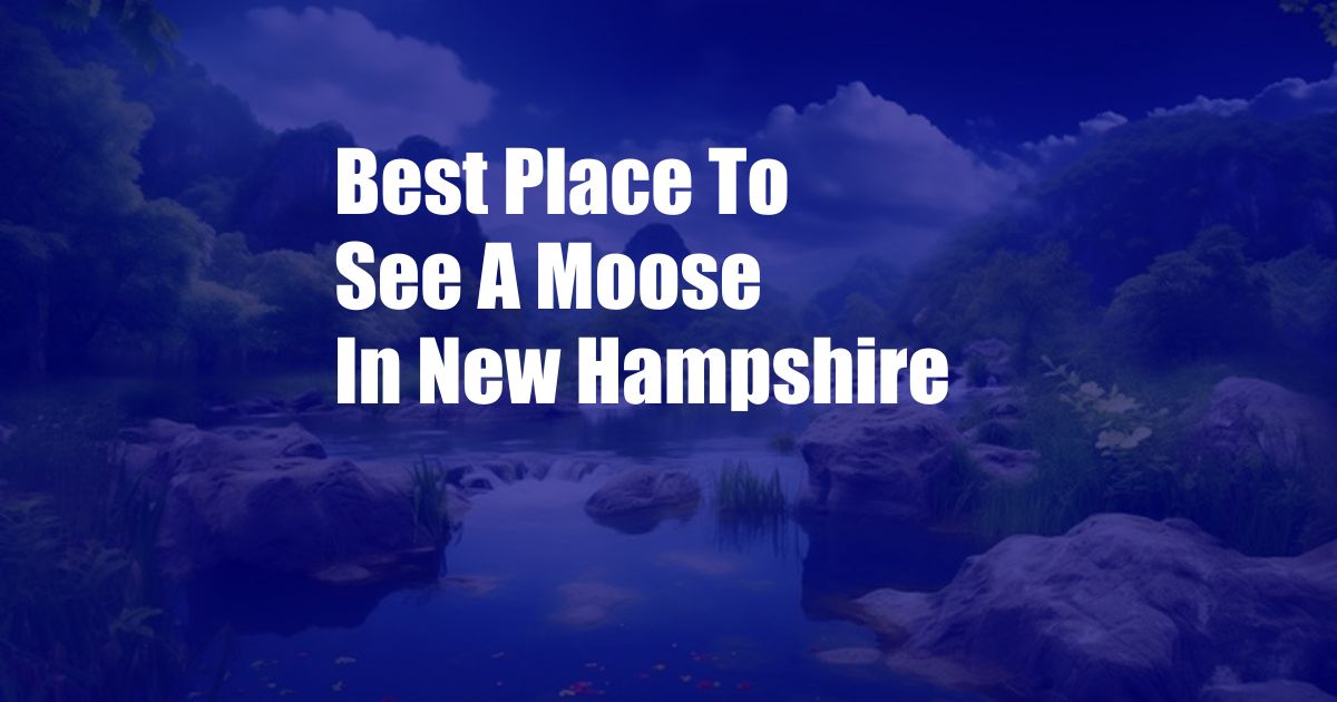 Best Place To See A Moose In New Hampshire