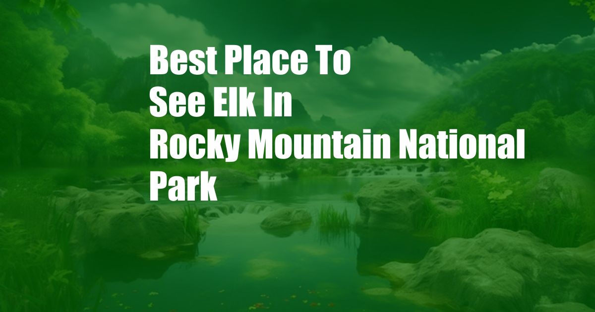 Best Place To See Elk In Rocky Mountain National Park