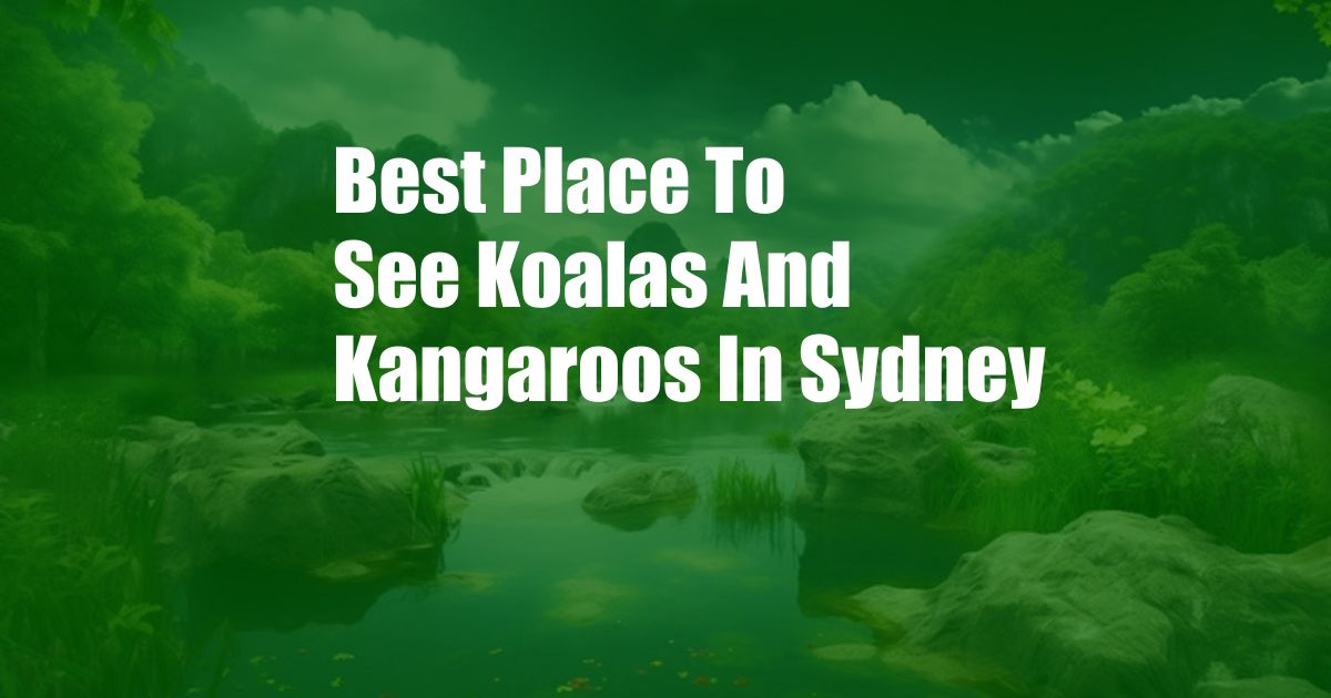 Best Place To See Koalas And Kangaroos In Sydney