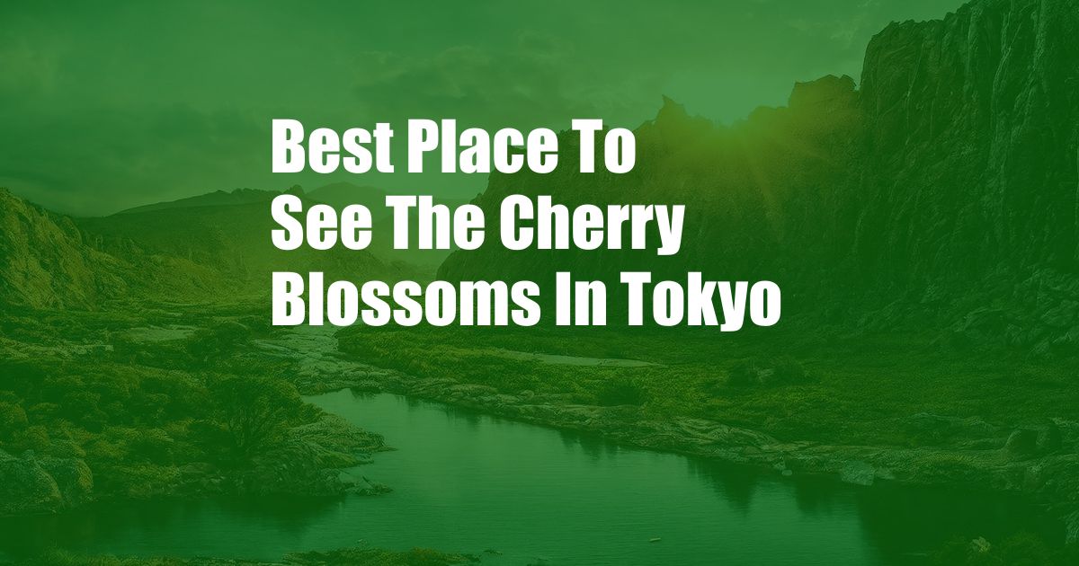 Best Place To See The Cherry Blossoms In Tokyo