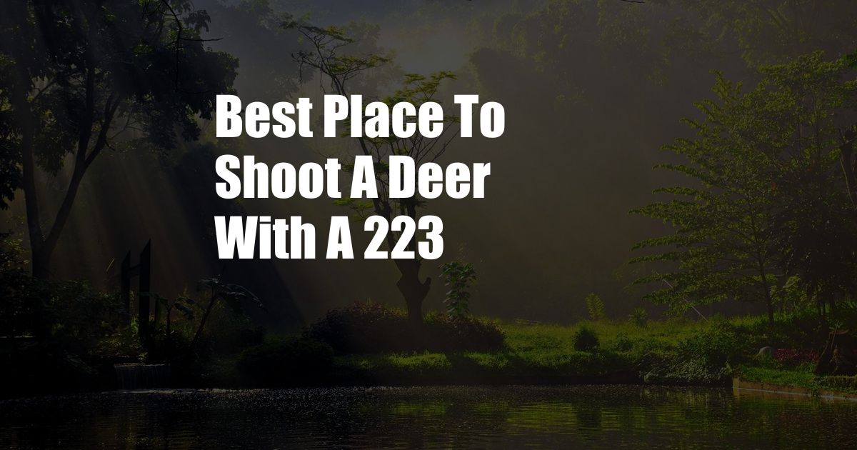 Best Place To Shoot A Deer With A 223