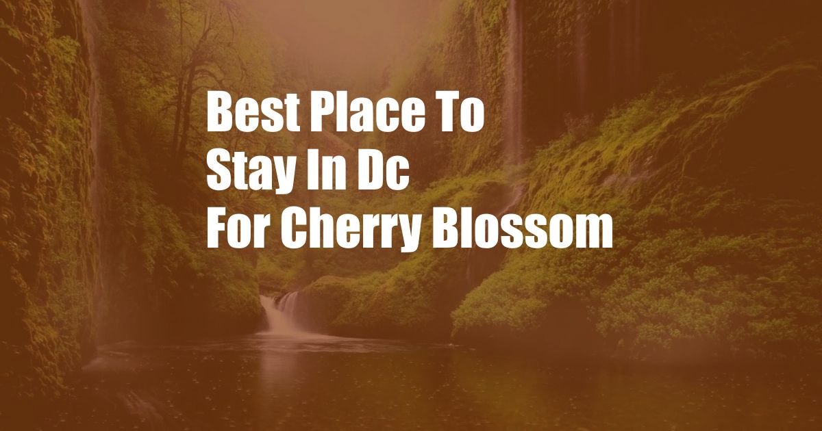 Best Place To Stay In Dc For Cherry Blossom