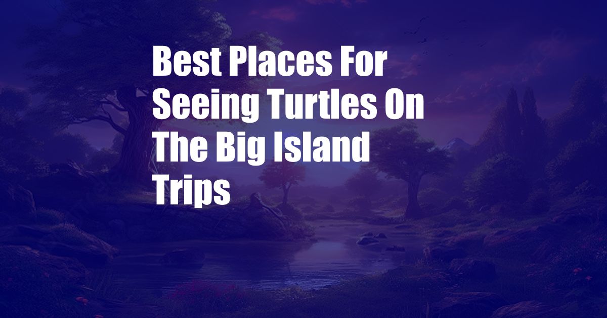 Best Places For Seeing Turtles On The Big Island Trips