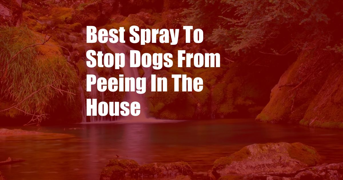 Best Spray To Stop Dogs From Peeing In The House
