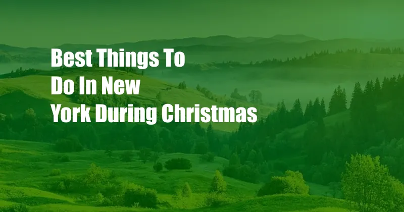 Best Things To Do In New York During Christmas