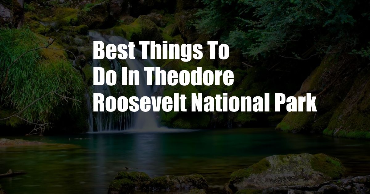 Best Things To Do In Theodore Roosevelt National Park