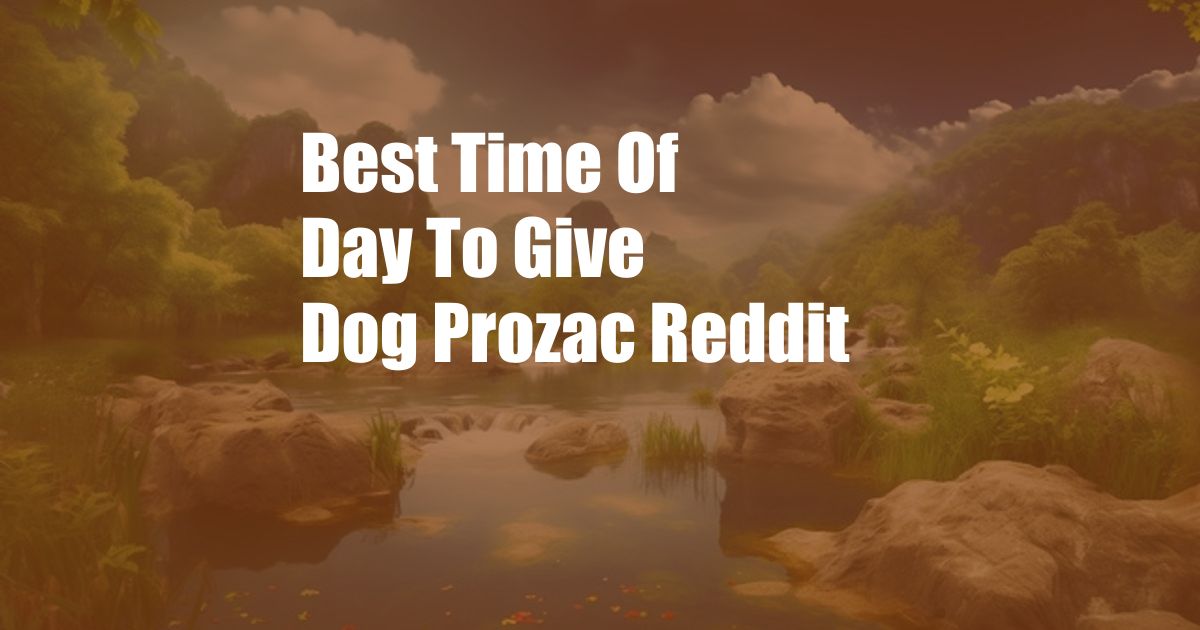 Best Time Of Day To Give Dog Prozac Reddit