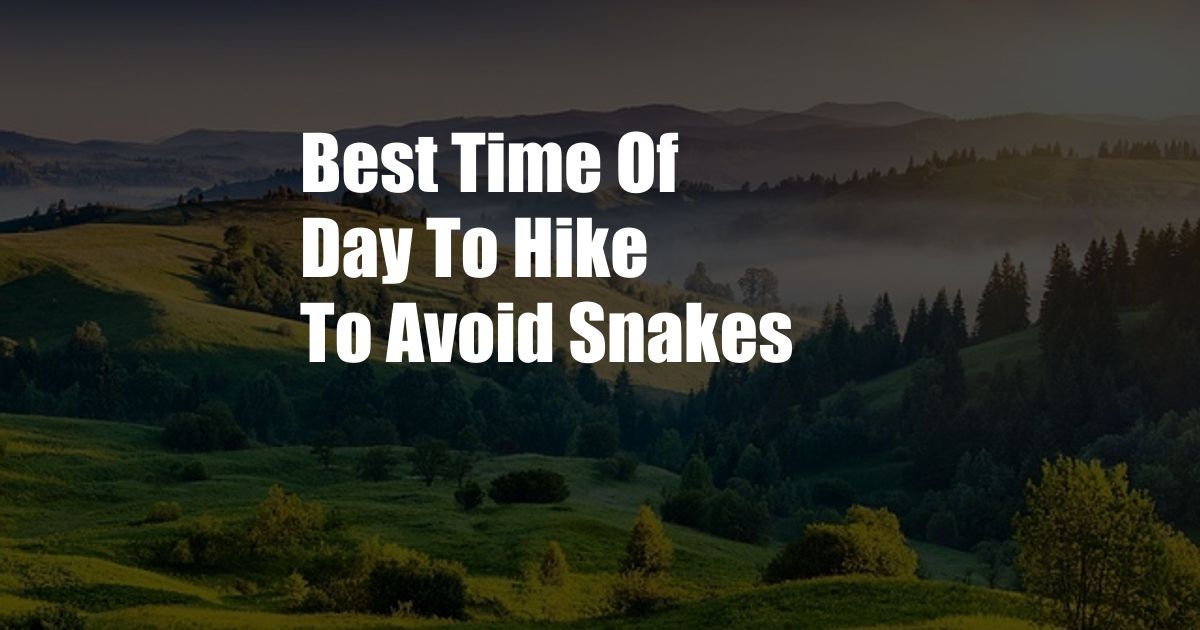 Best Time Of Day To Hike To Avoid Snakes