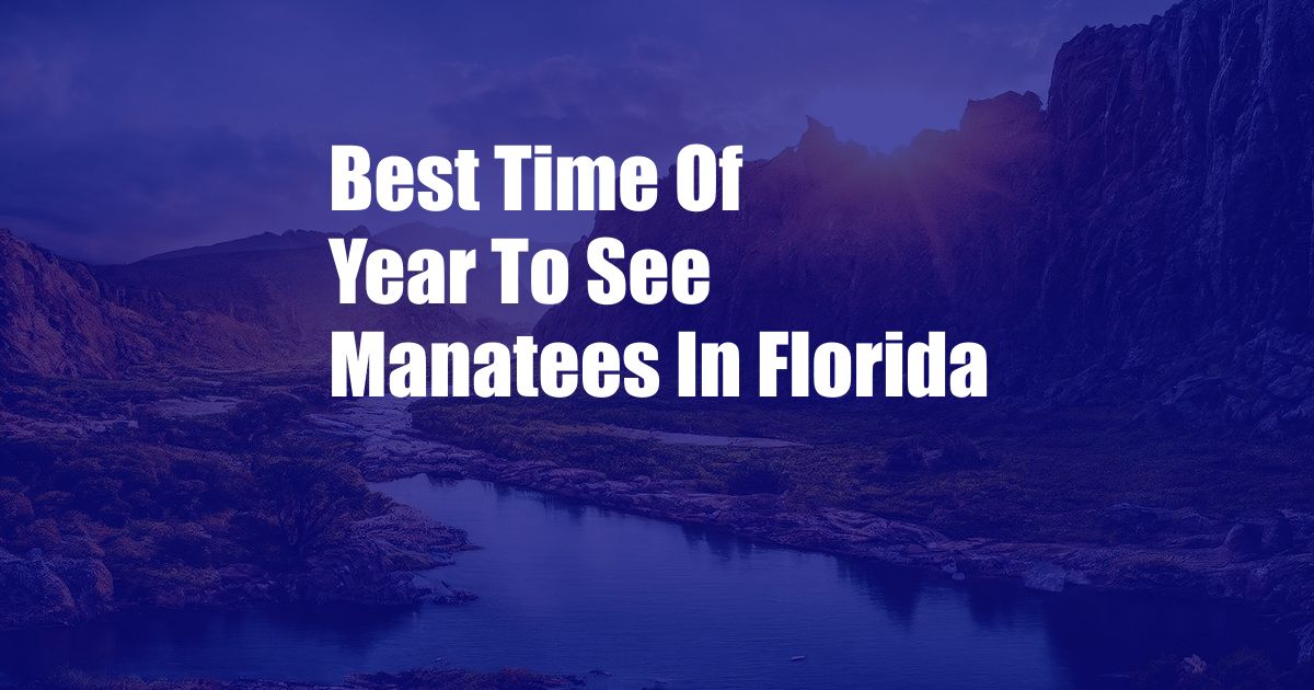 Best Time Of Year To See Manatees In Florida