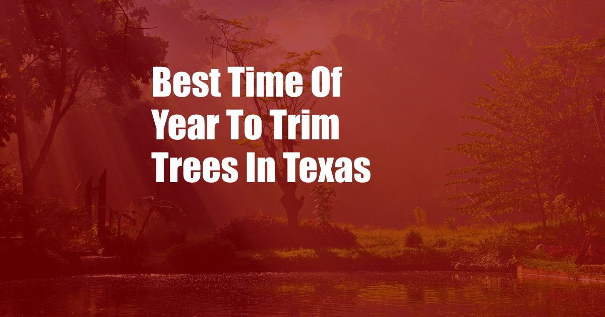 Best Time Of Year To Trim Trees In Texas