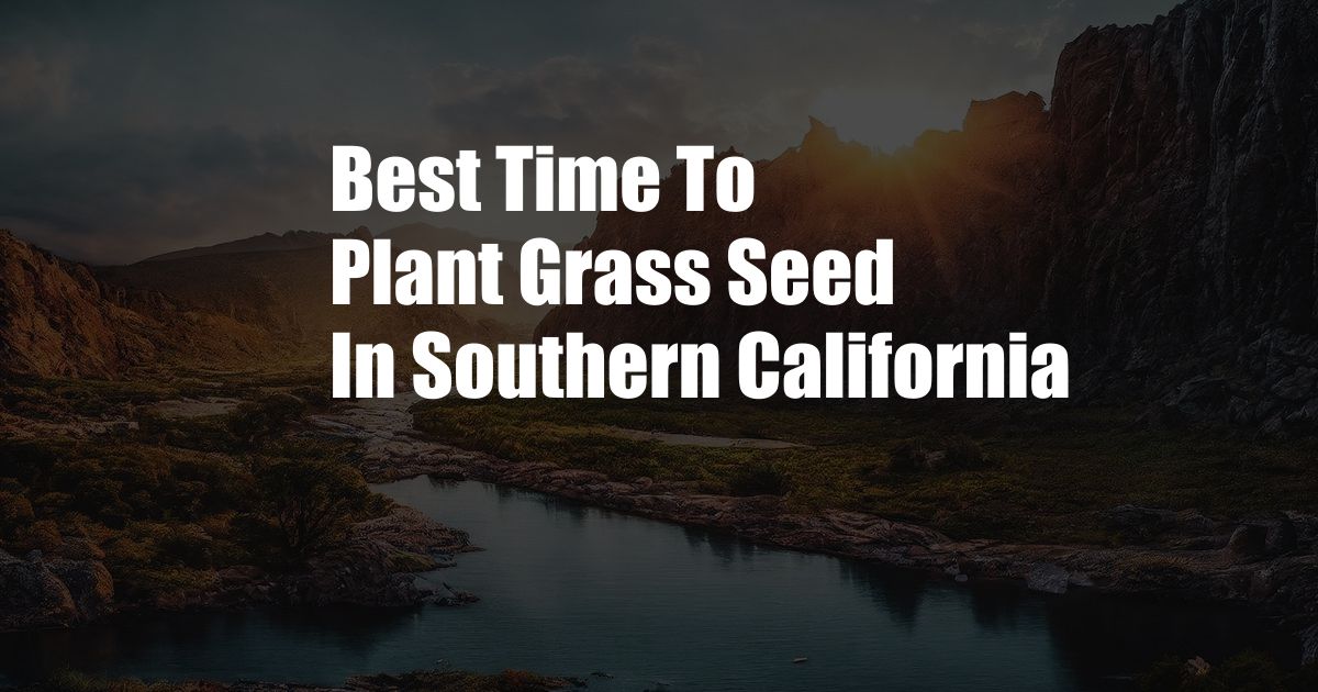 Best Time To Plant Grass Seed In Southern California
