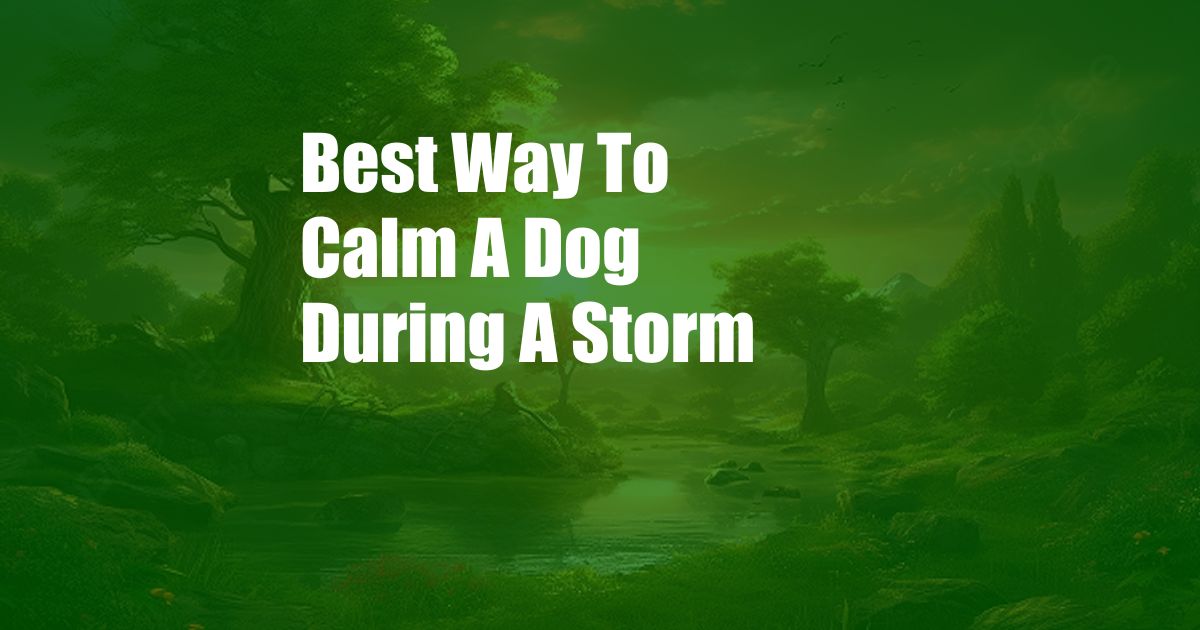 Best Way To Calm A Dog During A Storm