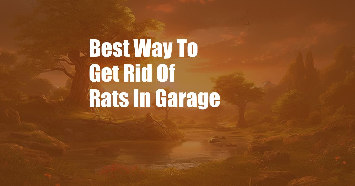 Best Way To Get Rid Of Rats In Garage