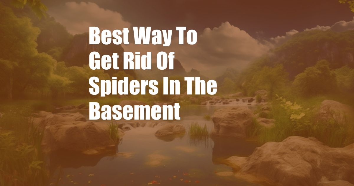 Best Way To Get Rid Of Spiders In The Basement