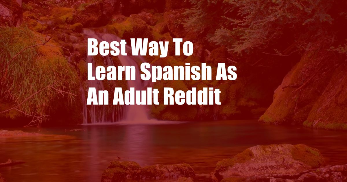 Best Way To Learn Spanish As An Adult Reddit