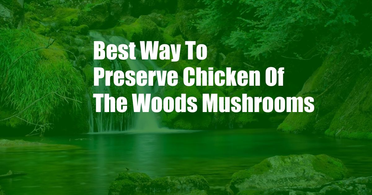 Best Way To Preserve Chicken Of The Woods Mushrooms