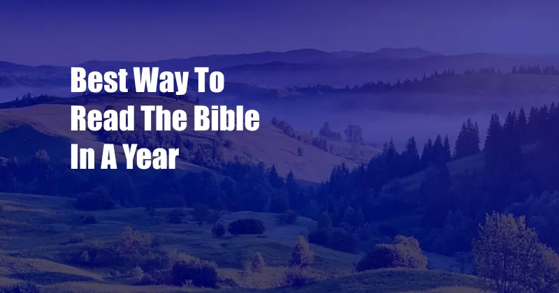Best Way To Read The Bible In A Year