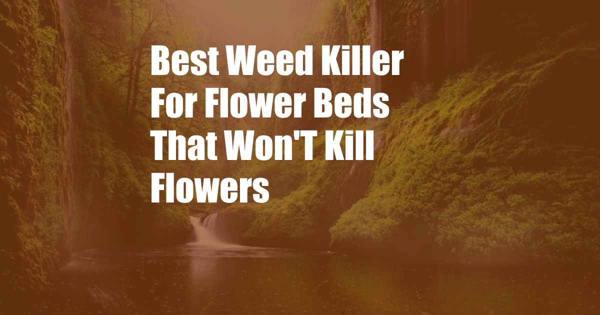 Best Weed Killer For Flower Beds That Won'T Kill Flowers