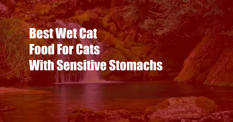 Best Wet Cat Food For Cats With Sensitive Stomachs