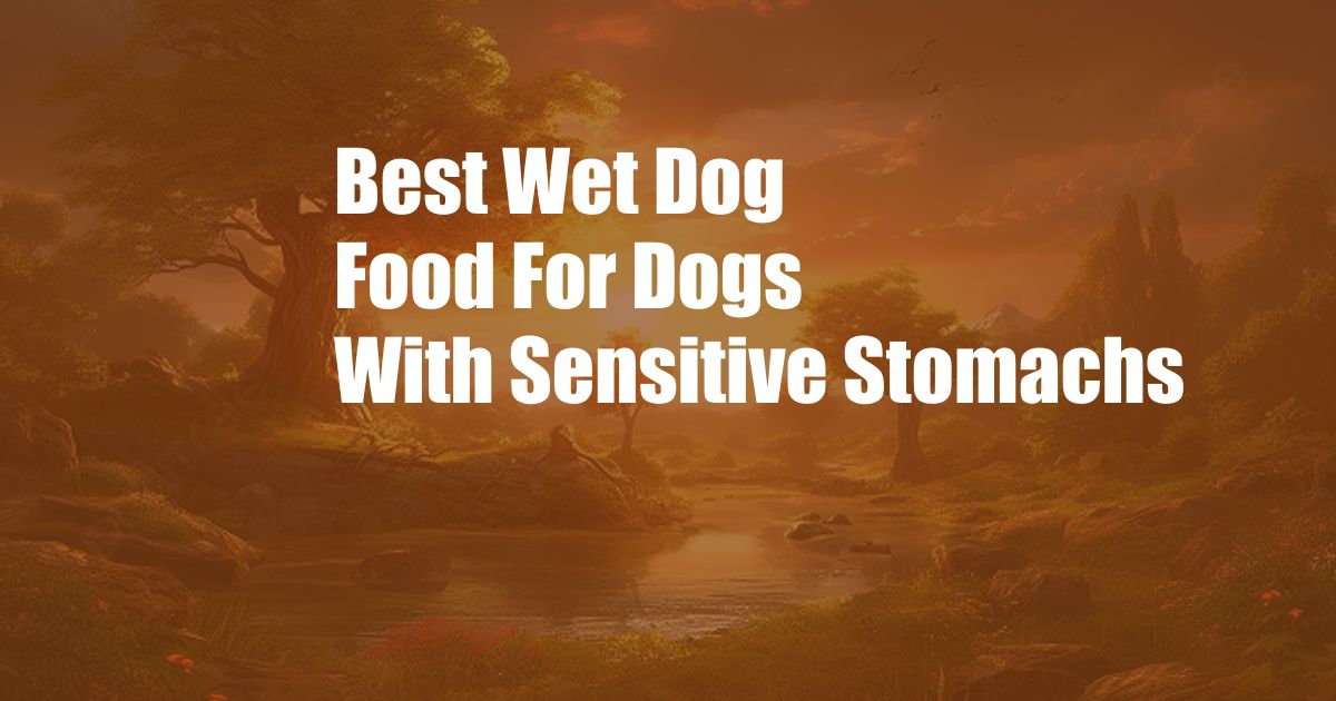 Best Wet Dog Food For Dogs With Sensitive Stomachs