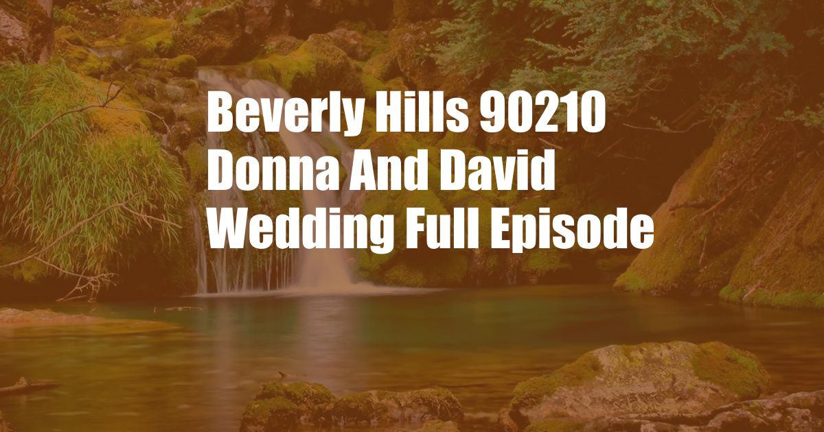 Beverly Hills 90210 Donna And David Wedding Full Episode