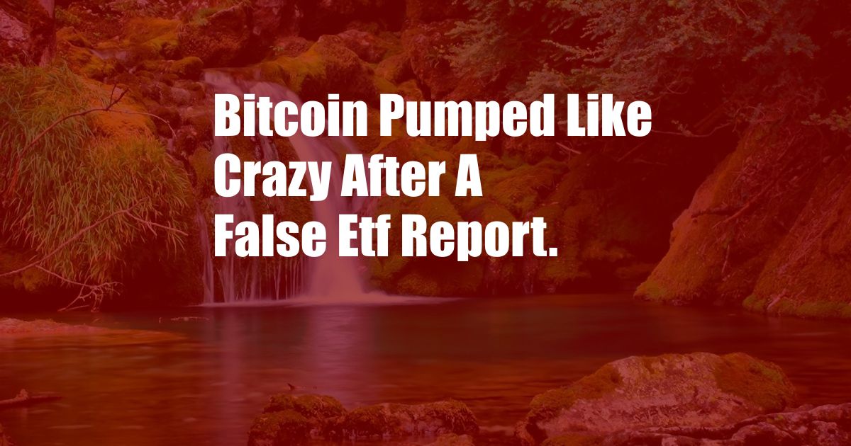 Bitcoin Pumped Like Crazy After A False Etf Report.