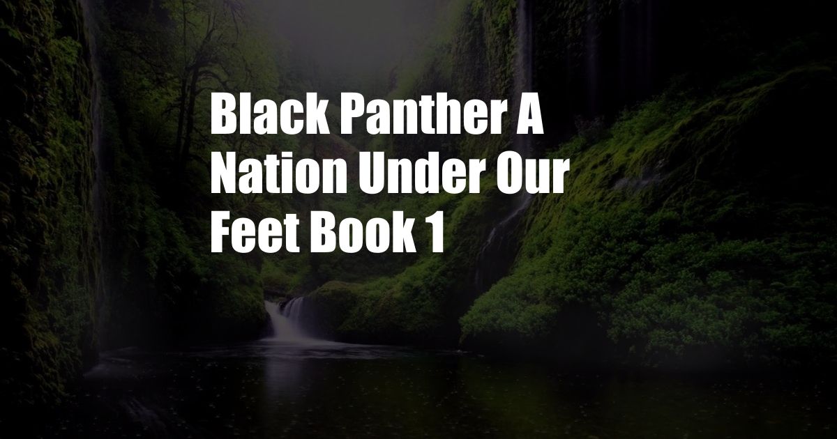 Black Panther A Nation Under Our Feet Book 1