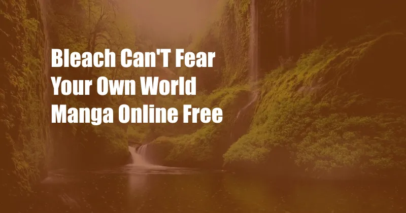 Bleach Can'T Fear Your Own World Manga Online Free