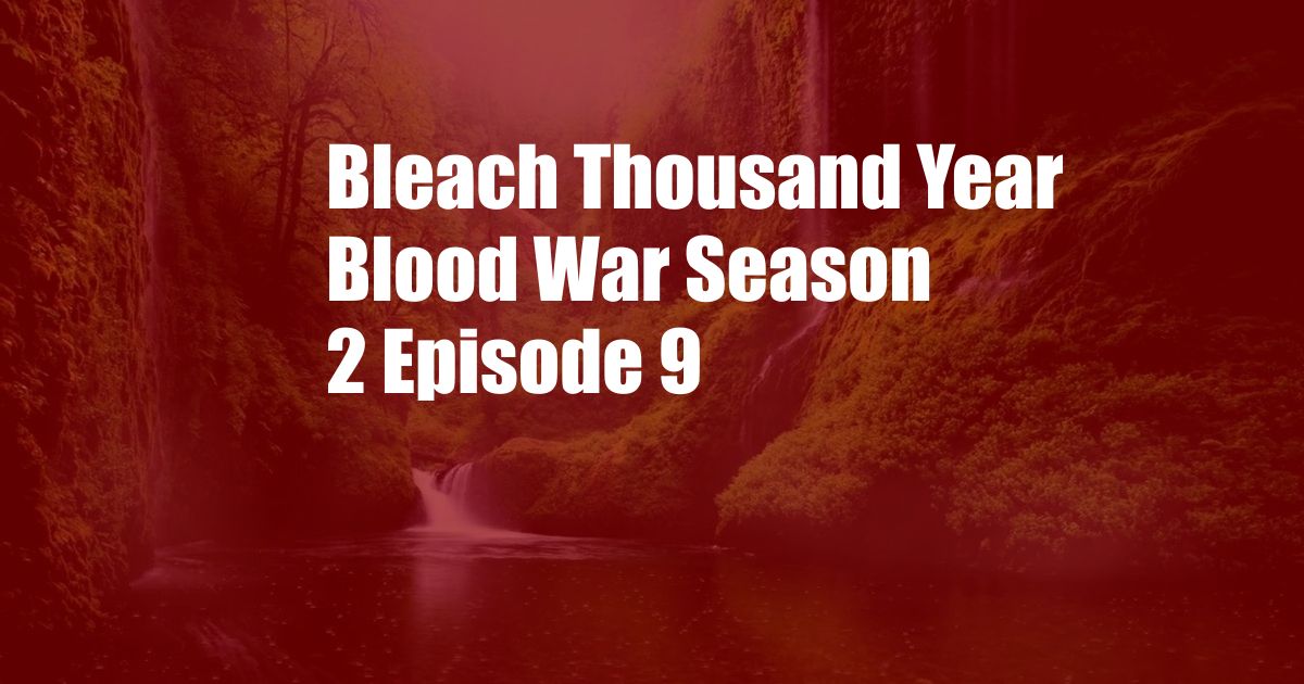 Bleach Thousand Year Blood War Season 2 Episode 9