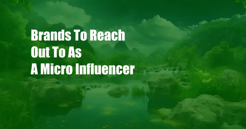 Brands To Reach Out To As A Micro Influencer