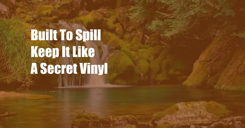 Built To Spill Keep It Like A Secret Vinyl